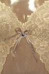 name} Сутиени Дантелен луксозен корсаж Silk Touch Luxe